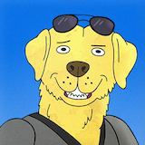Imagem de perfil